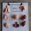 OneLegacy and Its Donors Help to Save Lives