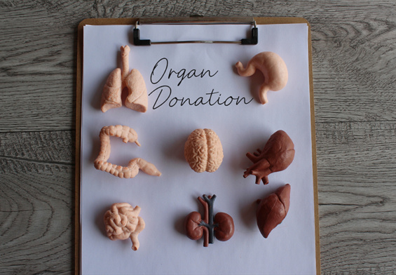 OneLegacy and Its Donors Help to Save Lives
