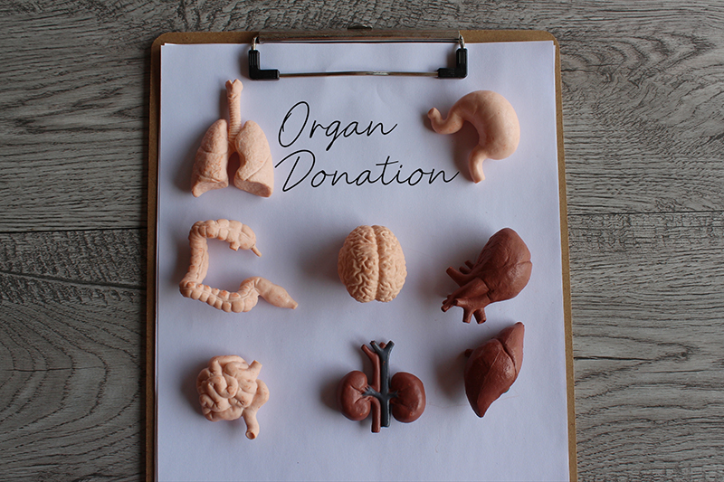 OneLegacy and Its Donors Help to Save Lives